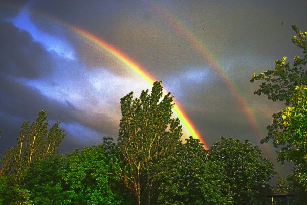 Дождь для радуги