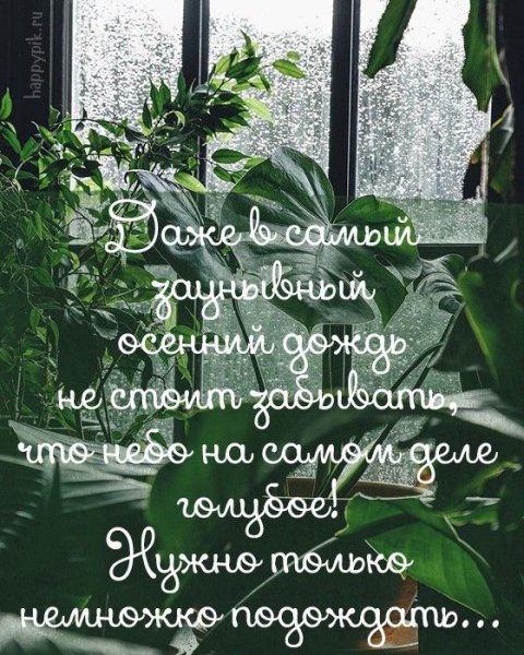 Доброе дождливое утро
