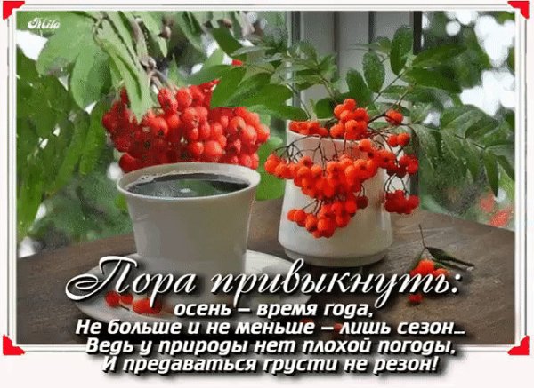 Пора привыкнуть осень время года