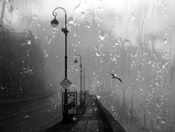 Дождь Эстетика