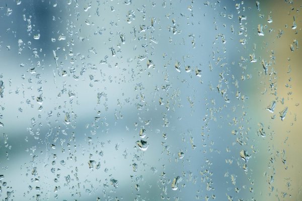 Мокрое стекло