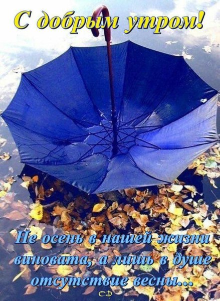 Дождевой зонт