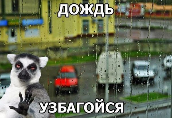 Картинки про дождь прикольные