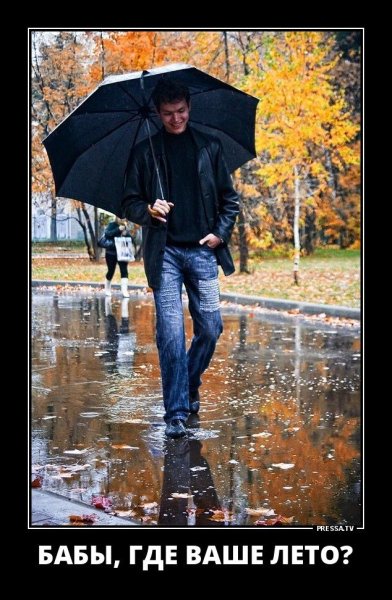 Приколы про осень