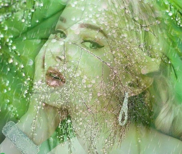 Под весенним дождём.