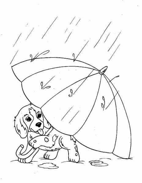 Скетч девочка с зонтом