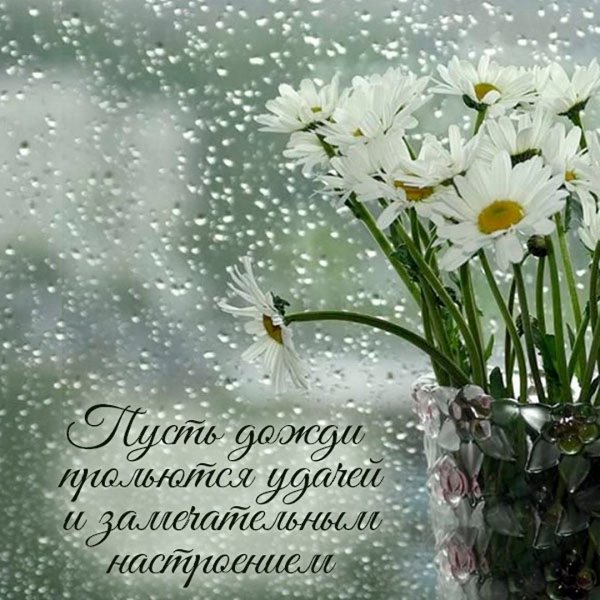 Доброе дождливое утро