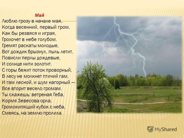 Стихотворение Федора Тютчева Весенняя гроза
