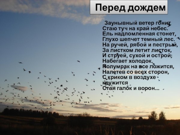 Заунывный ветер гонит стаю туч на край небес