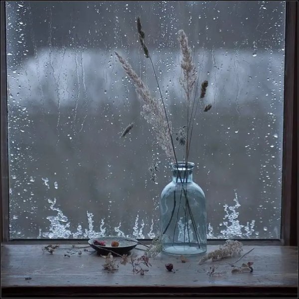 Серое дождливое утро