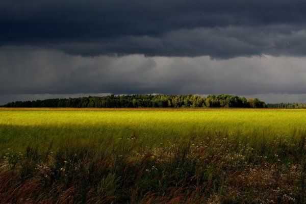 Природа перед грозой