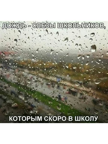 Дождь смешно