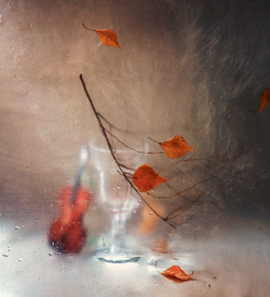 Скрипач под дождем