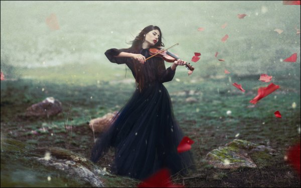 Девушка в платье со скрипкой