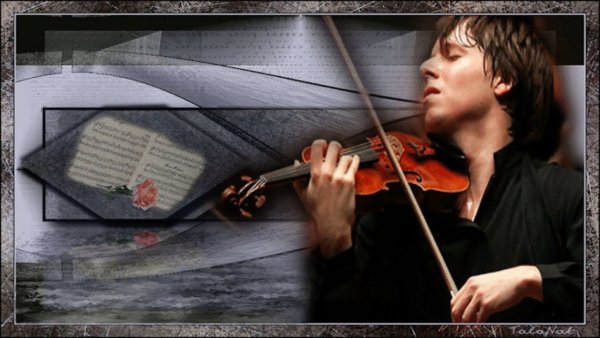 Слепой скрипач