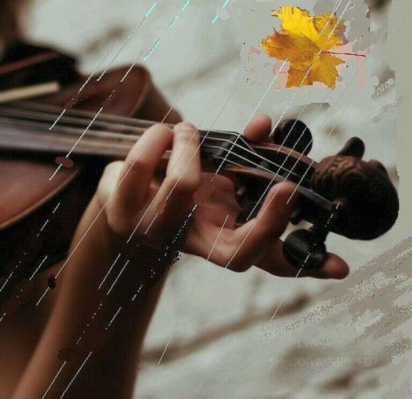 Скрипка душа