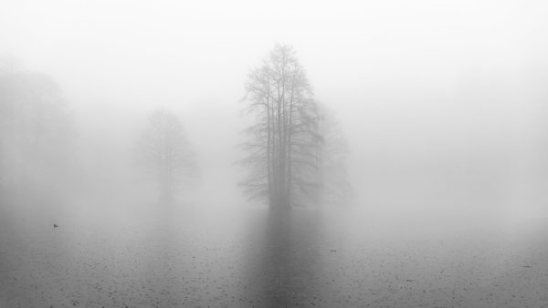 Дождевой туман