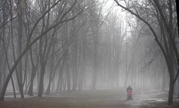 Дождь туман