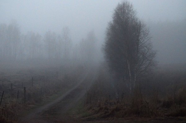 Дождь туман