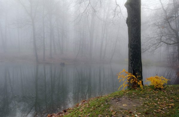 Осень дождь туман