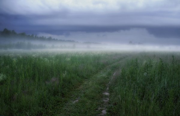 Дождь туман