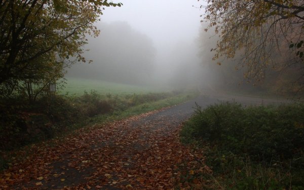 Пасмурная осень