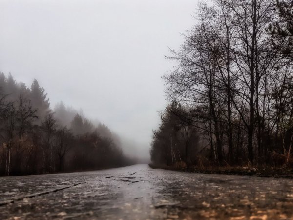 Осень холодная жуткая