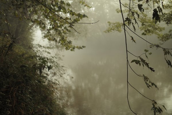 Эстетика тумана и дождя