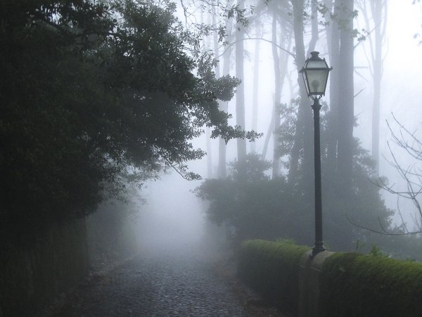 Город в тумане