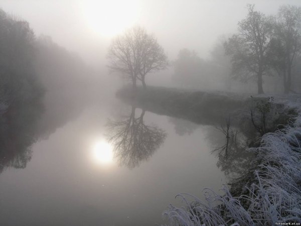 Клочья тумана