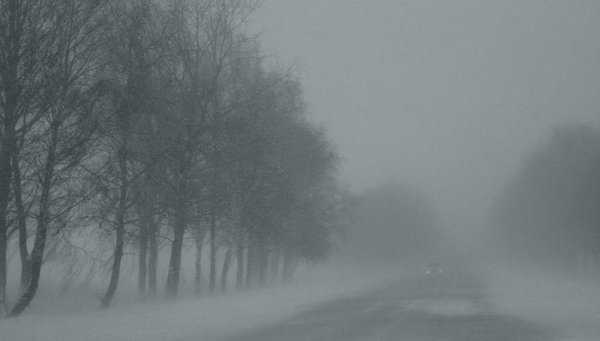 Туман в снегу