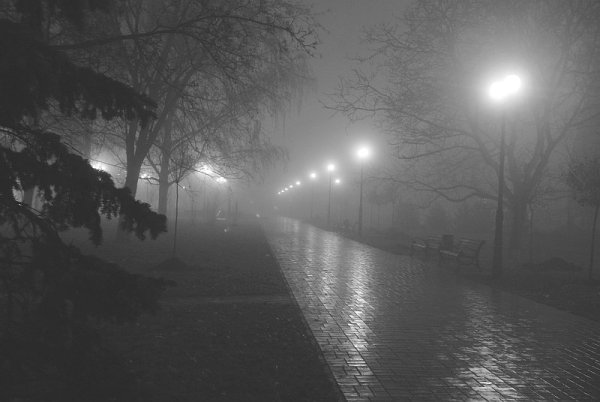 Дождь туман город