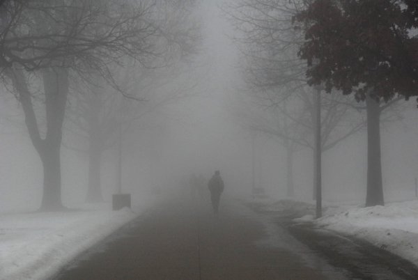 Туман зимой в городе