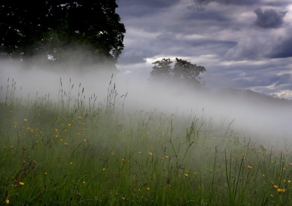 Природа туман