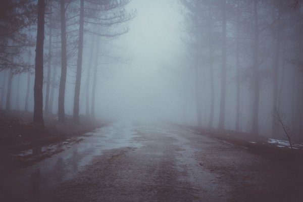 Дождь туман