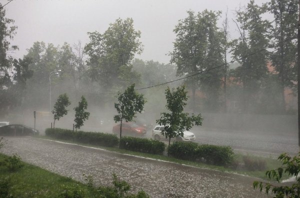 МЧС предупредило жителей Подмосковья о шквалистом ветре