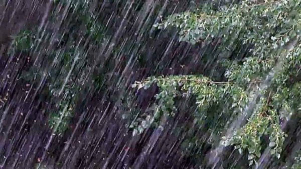 Сильный ветер дождь град