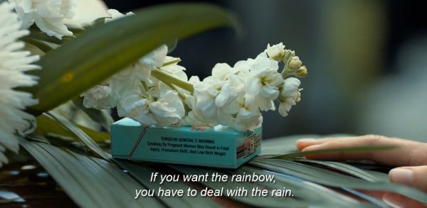 Если любишь радугу надо любить и дождь