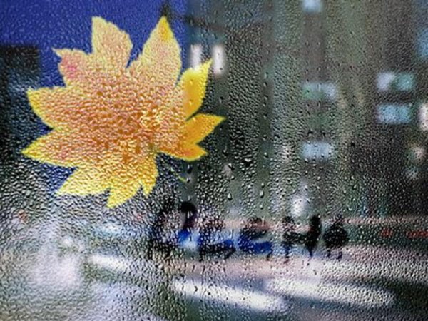 Надпись на стекле дождь