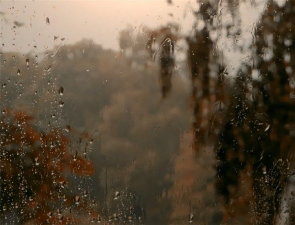 Дождь за окном