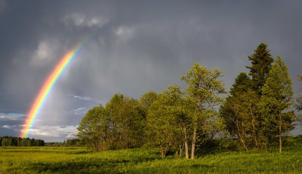 Природа после грозы