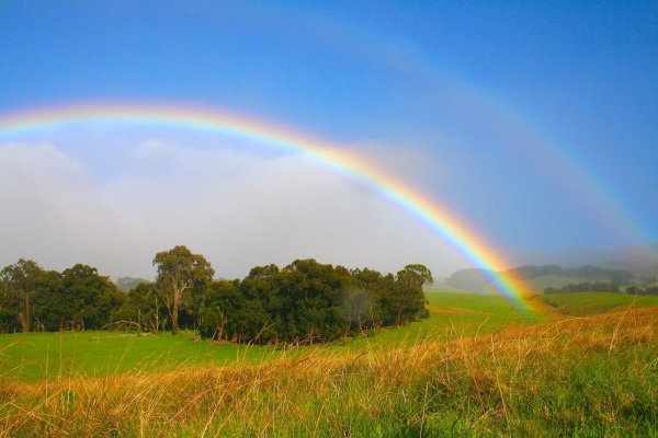 Лето Радуга