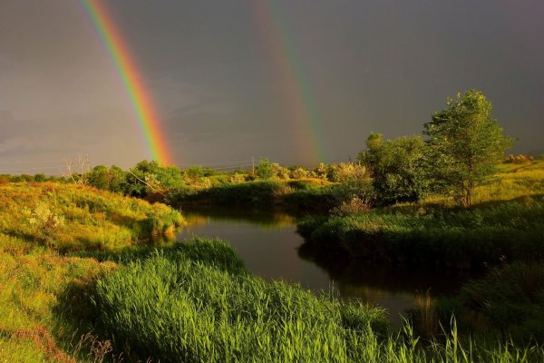 Фото Радуга после дождя