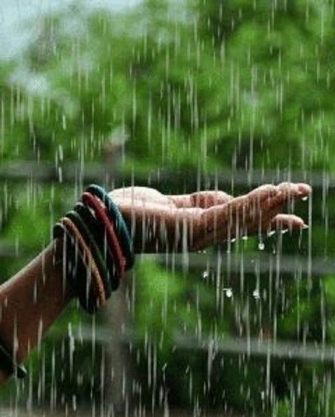 Люблю дождь