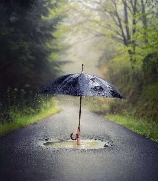 Зонтик на асфальте