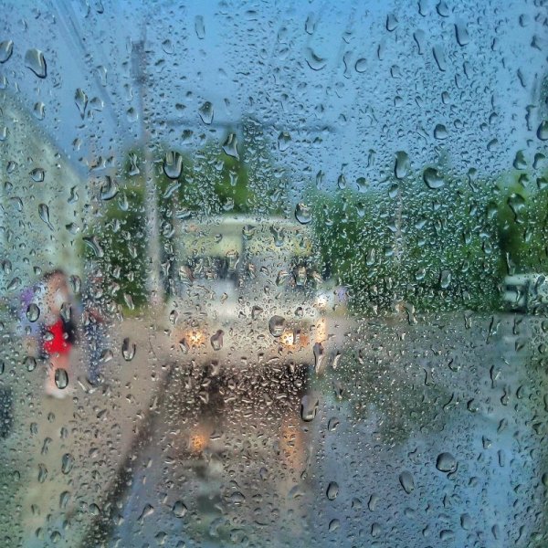 Свежесть после дождя