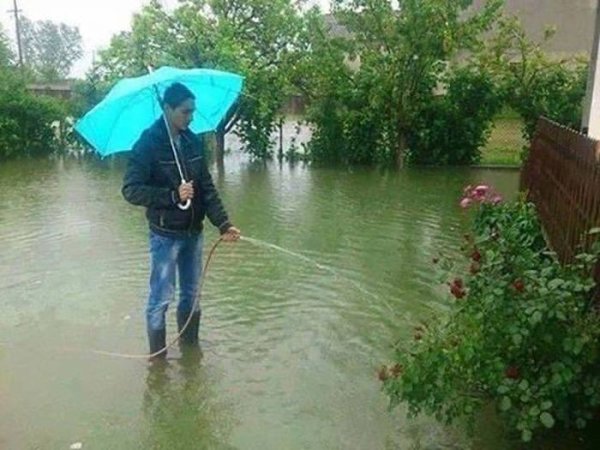 Дождик на огороде