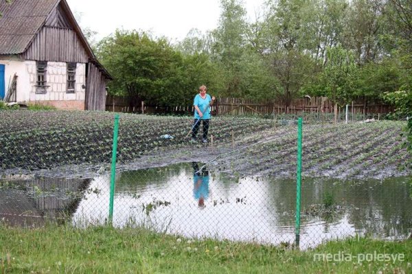 Огород после дождя
