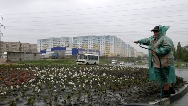 Поливаю огород в ливень