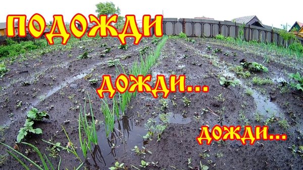 Картинки про огород прикольные с надписями